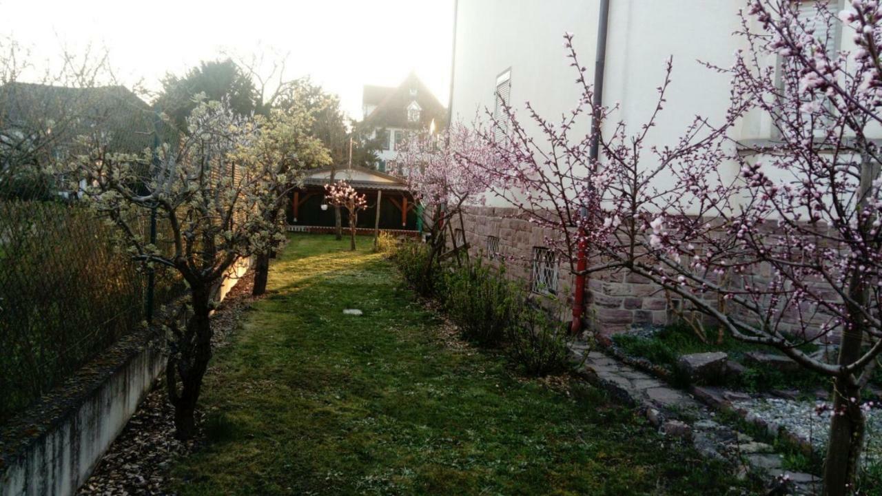 Gîte La Baloise Colmar Extérieur photo